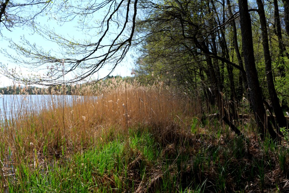 Großer Möggelinsee 2021-05-09 09