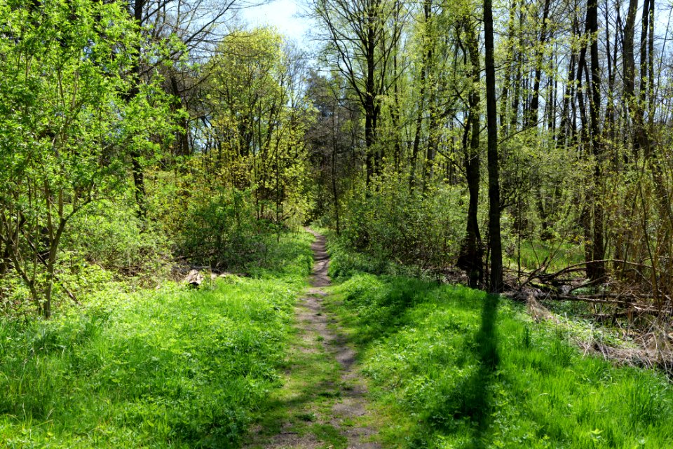 Großer und Westufer Kleiner Zeschsee 2021-05-09 49