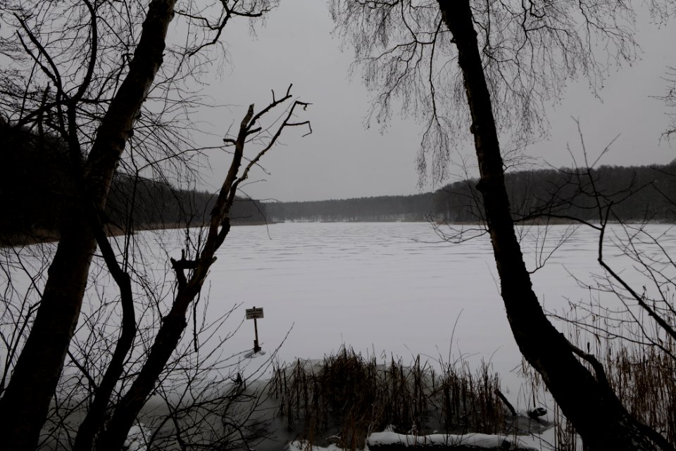 Großer Lienewitzsee with snow 2021-02-07 03