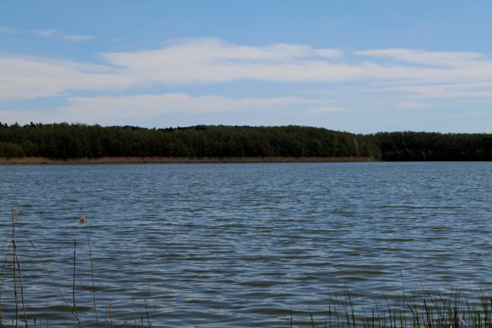 Großer Möggelinsee 2021-05-09 04