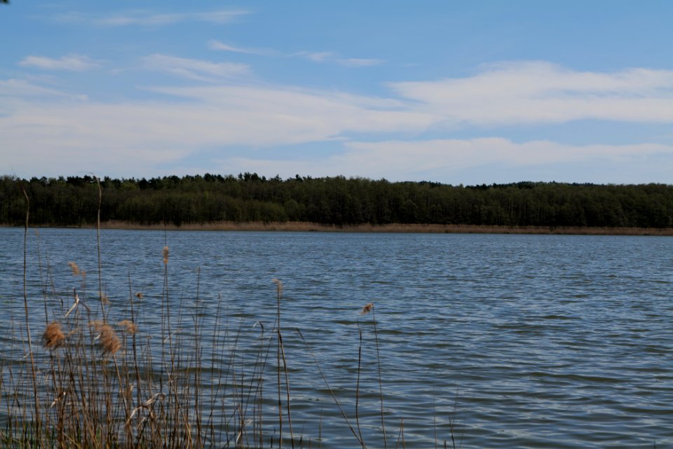 Großer Möggelinsee 2021-05-09 05