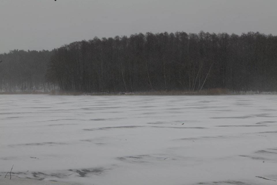 Großer Lienewitzsee with snow 2021-02-07 14