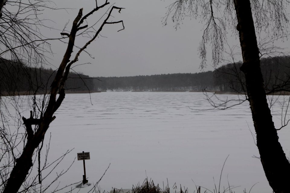 Großer Lienewitzsee with snow 2021-02-07 04