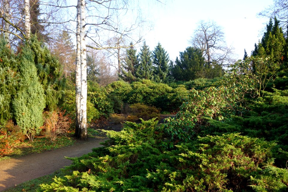 Großer Garten, Dresden, Germany - DSC09069