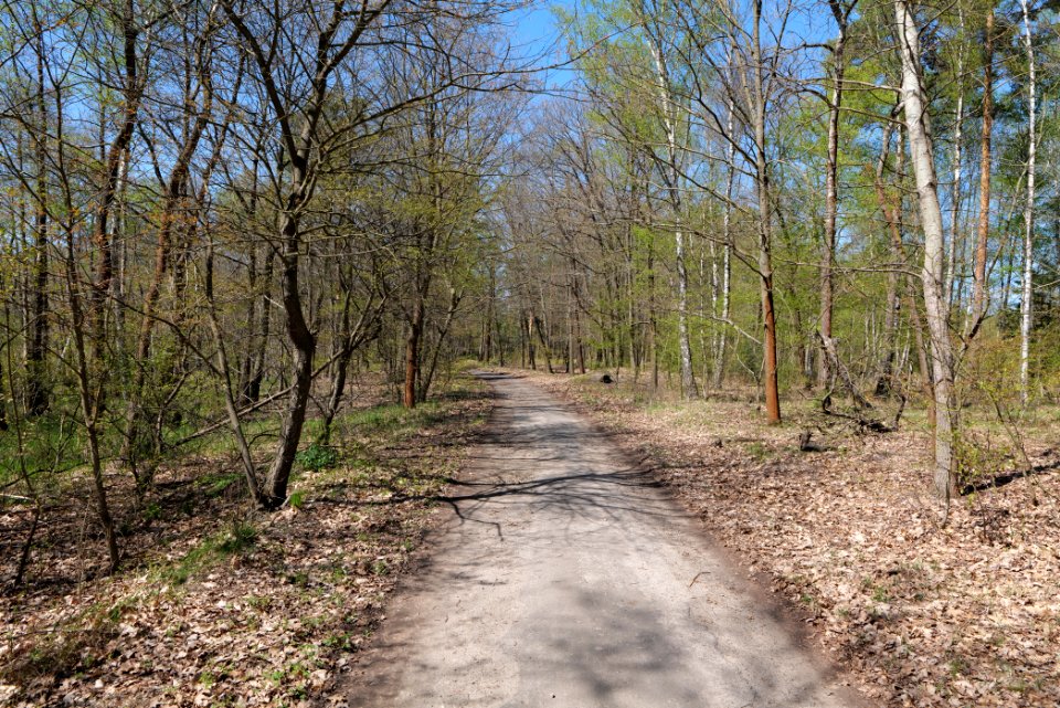Großer und Kleiner Möggelinsee 2021-05-09 69