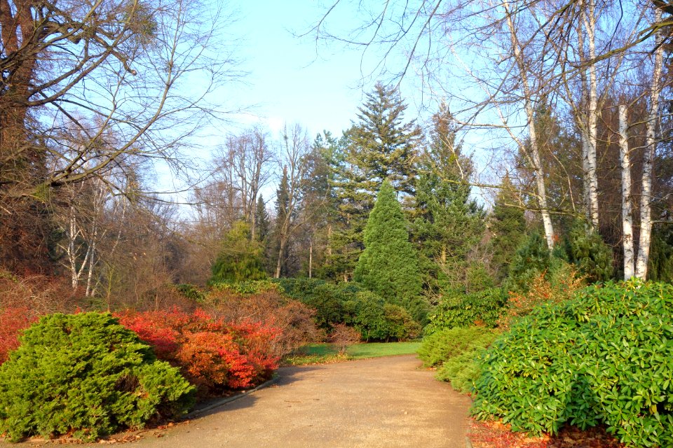 Großer Garten, Dresden, Germany - DSC09066