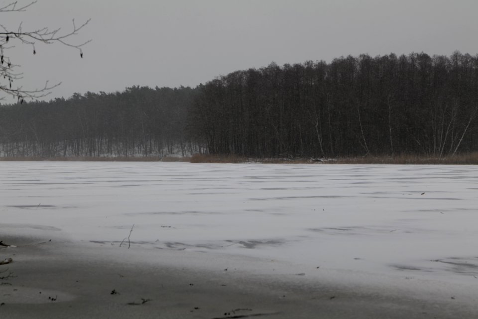 Großer Lienewitzsee with snow 2021-02-07 13