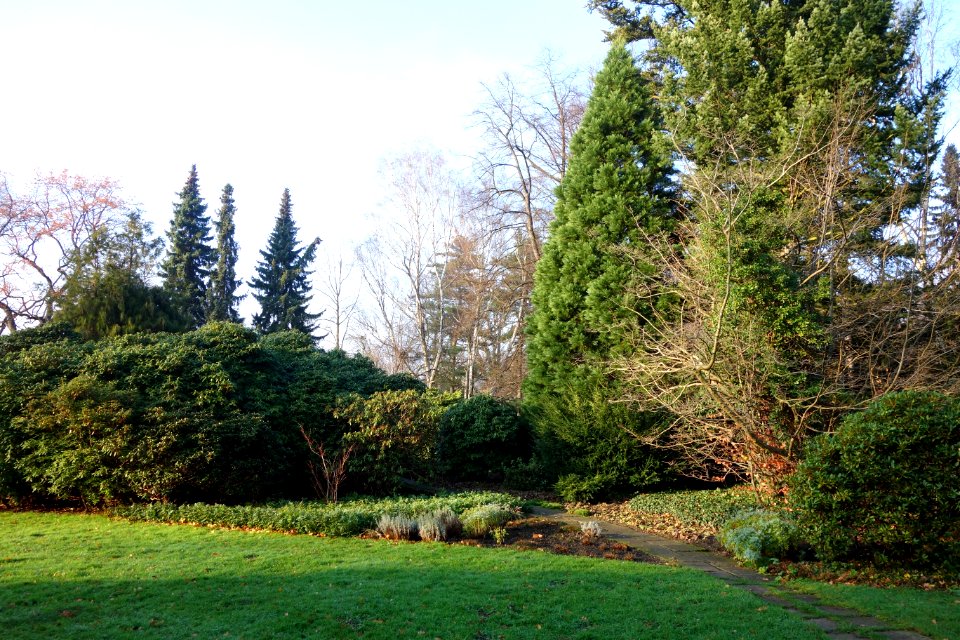 Großer Garten, Dresden, Germany - DSC09072