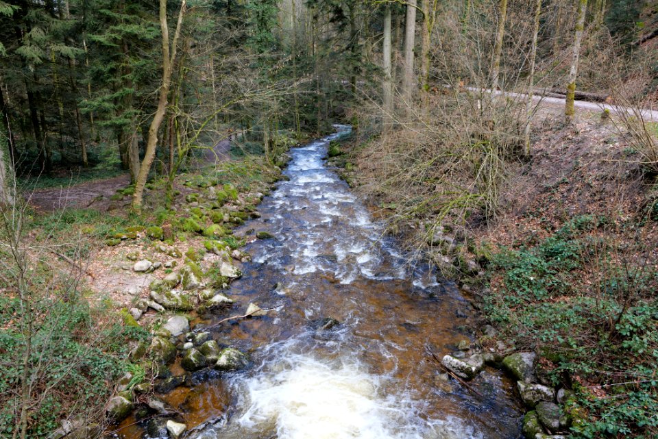 Grobbach 2020-03-13 05