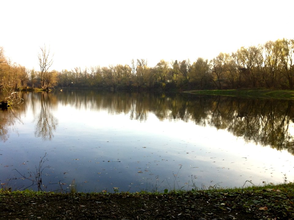 Großer Kiesgrubensee Kröllwitz