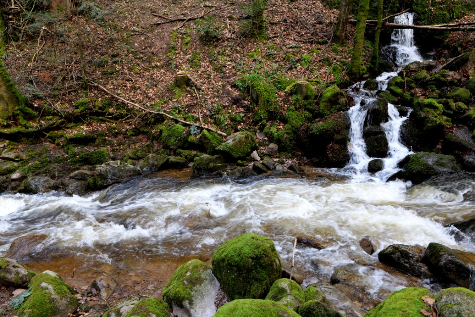 Grobbach 2020-03-13 09
