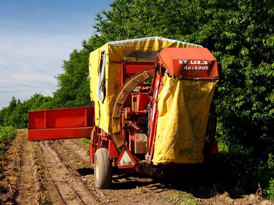 Grimme Matador pic1