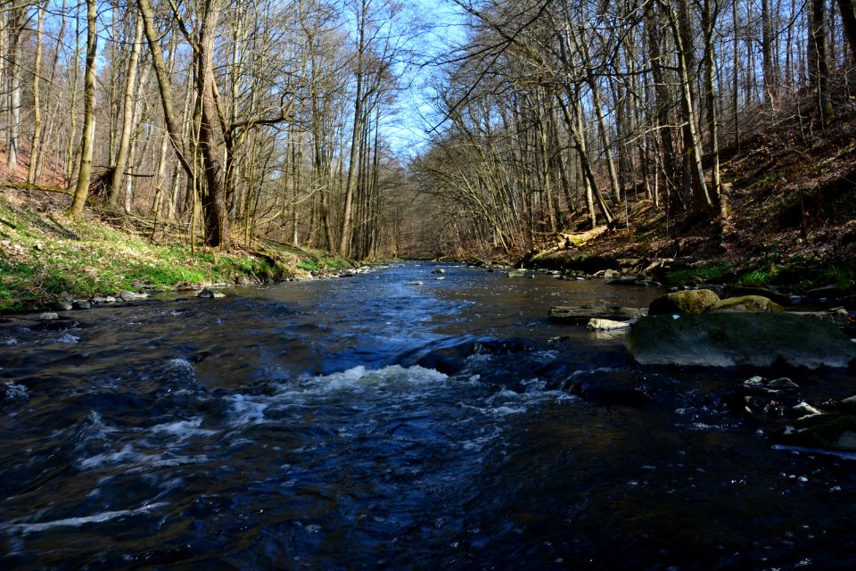 Große Röder Seifersdorfer Tal