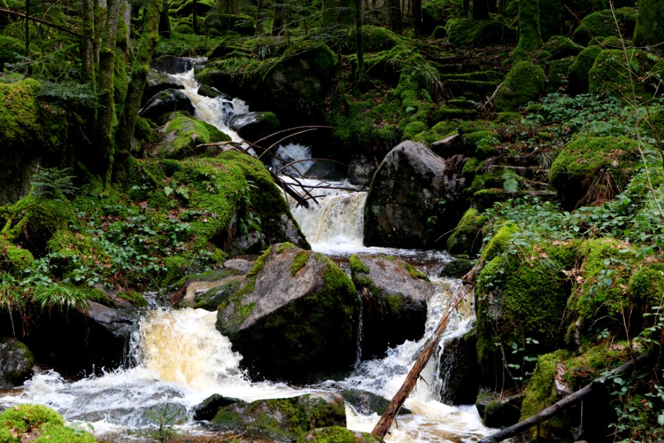 Grimbach Waterfall 2020-03-13 07