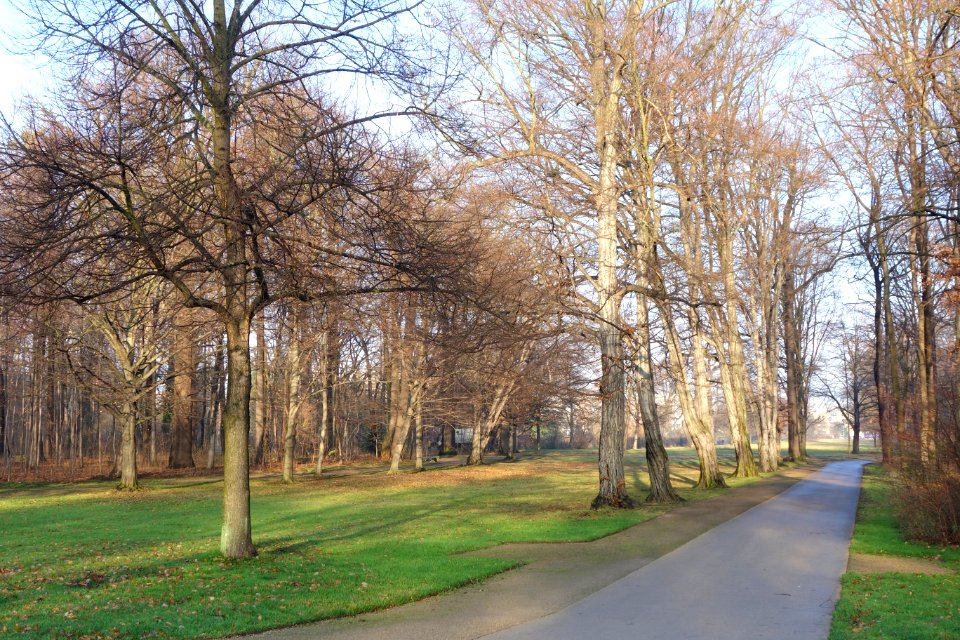 Großer Garten, Dresden, Germany - DSC09027
