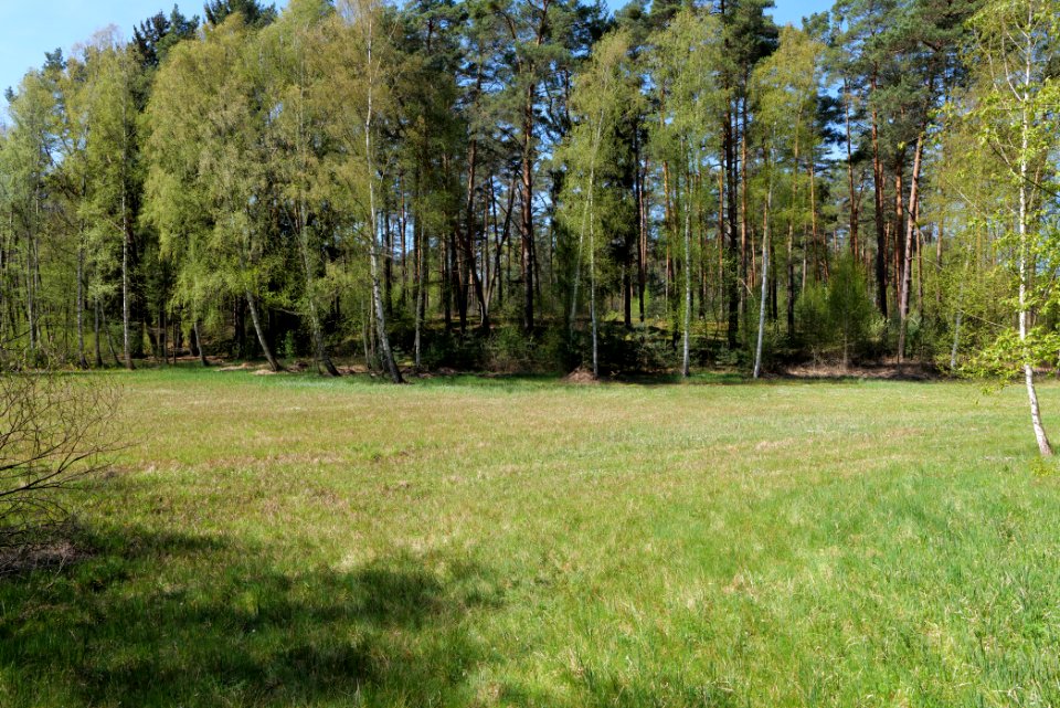 Großer und Westufer Kleiner Zeschsee 2021-05-09 42