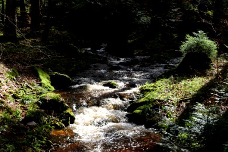 Grimbach 2020-03-13 07