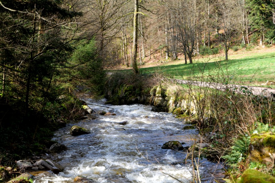 Grobbach 2020-03-13 01