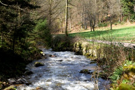 Grobbach 2020-03-13 01