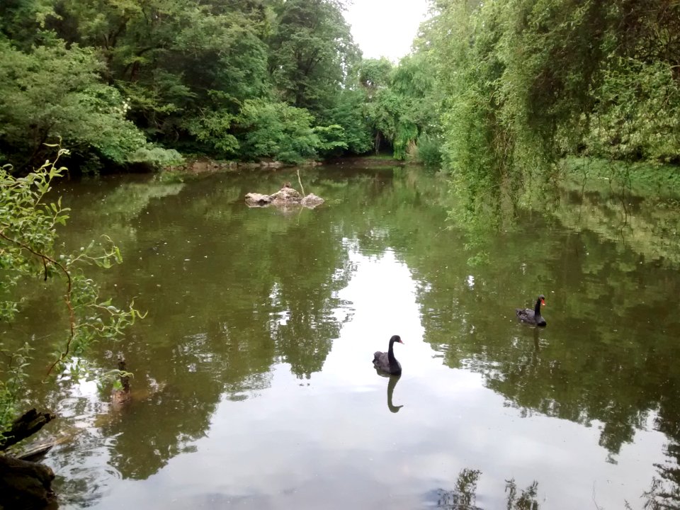 Großer Weiher, Innsbruck 