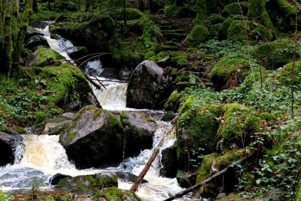 Grimbach Waterfall 2020-03-13 10