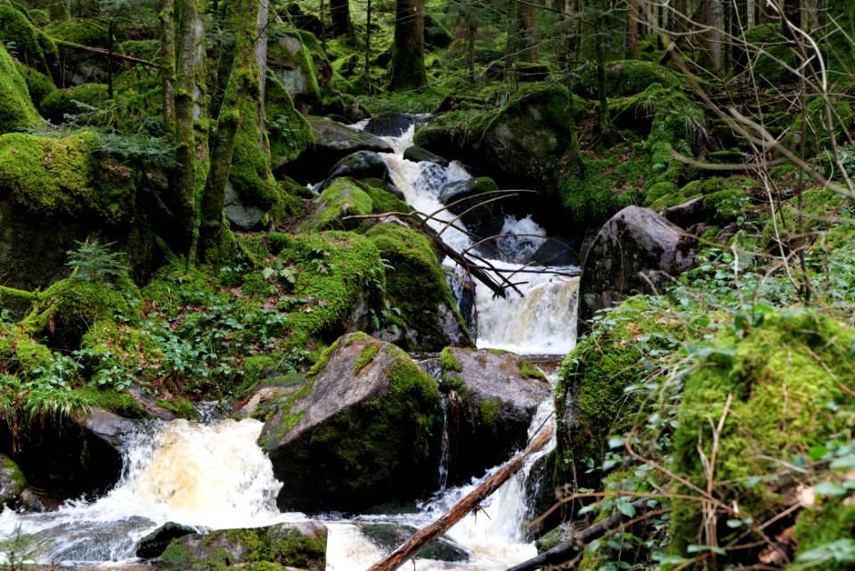 Grimbach Waterfall 2020-03-13 14