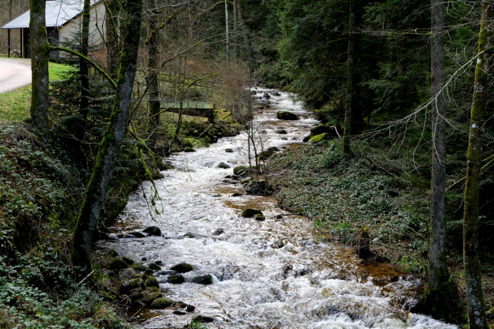 Grobbach 2020-03-13 04