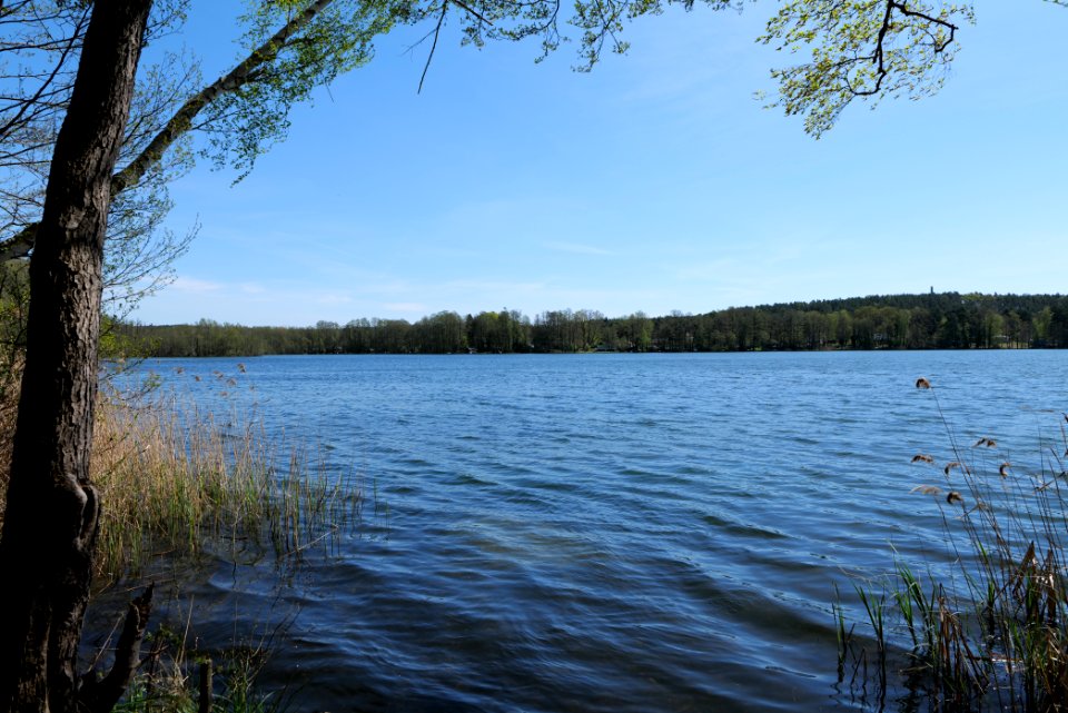 Großer Zeschsee 2021-05-09 10