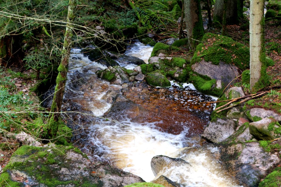 Grimbach Waterfall 2020-03-13 03