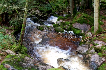 Grimbach Waterfall 2020-03-13 03