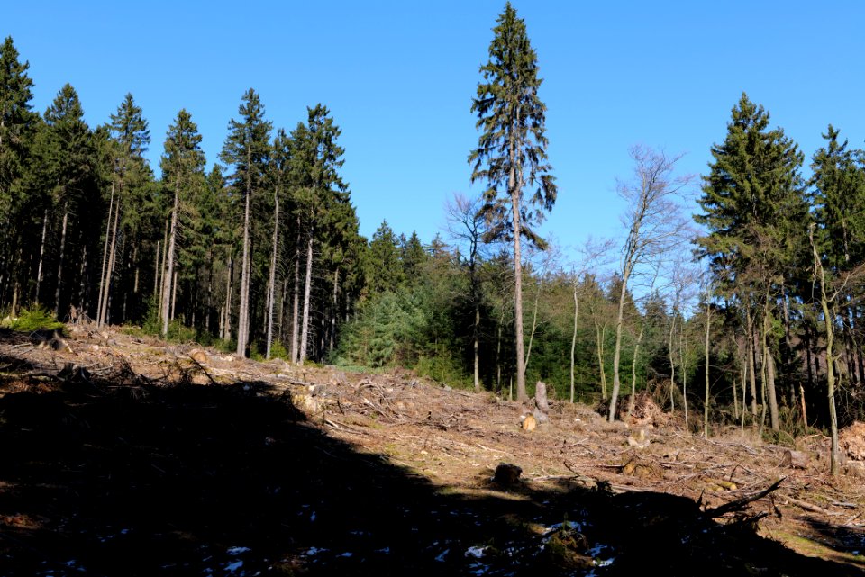 Großer Feldberg 2020-03-23 27