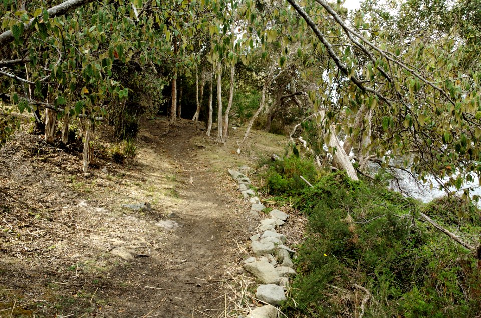 Greens-Beach-path-20070419-024