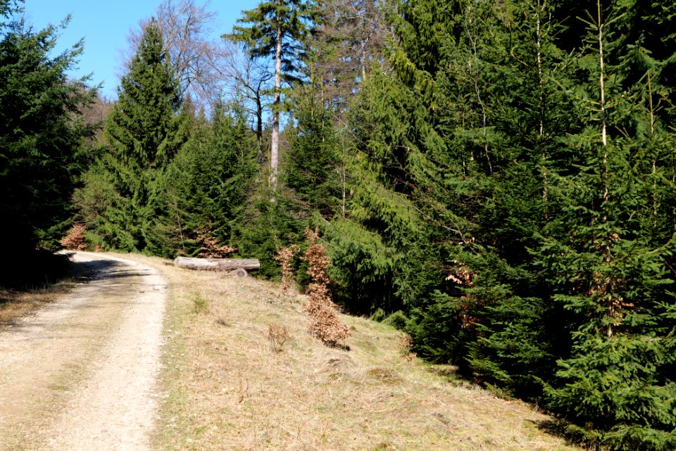 Großer Feldberg 2020-03-23 13