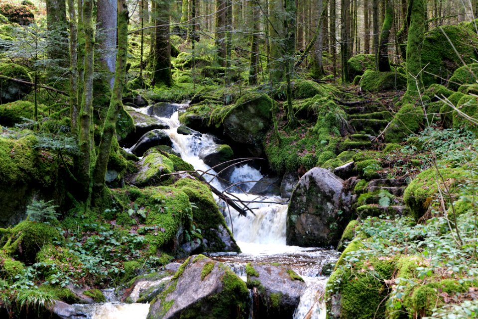 Grimbach Waterfall 2020-03-13 01