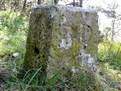 Grenzstein auf den Reinsbergen bei Plaue 2b