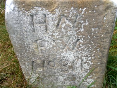 Grenzstein Dreimärker Hessen-Nassau PW R0017645