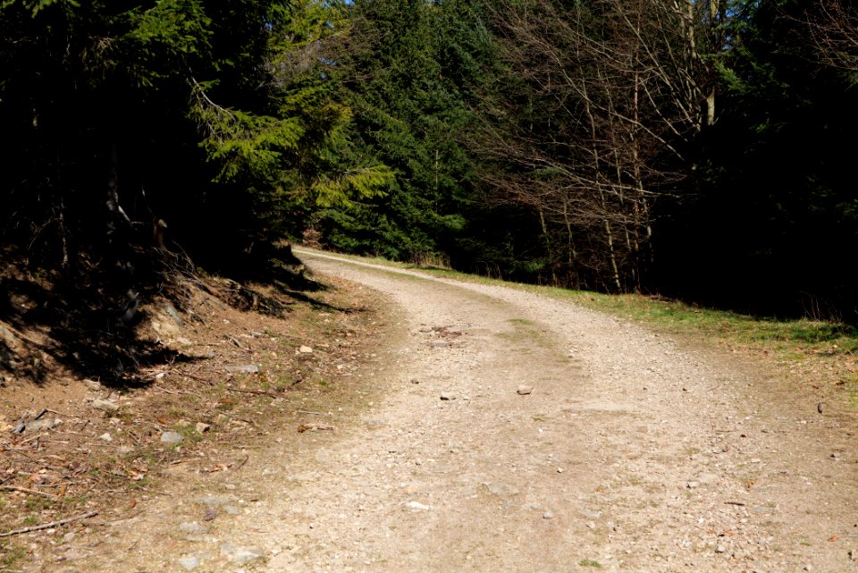 Großer Feldberg 2020-03-23 12