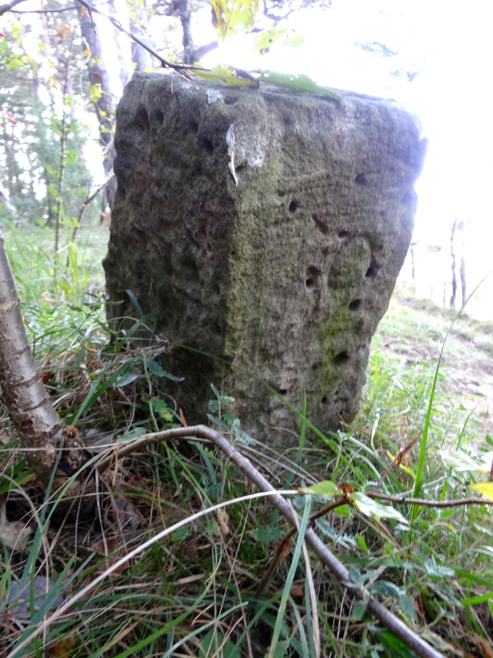 Grenzstein auf den Reinsbergen bei Plaue 1b