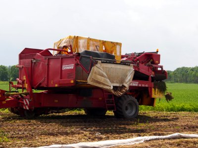 GRIMME SE 150-60 pic4