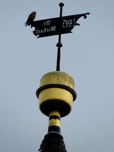 Großebersdorf, Harth-Pöllnitz 24