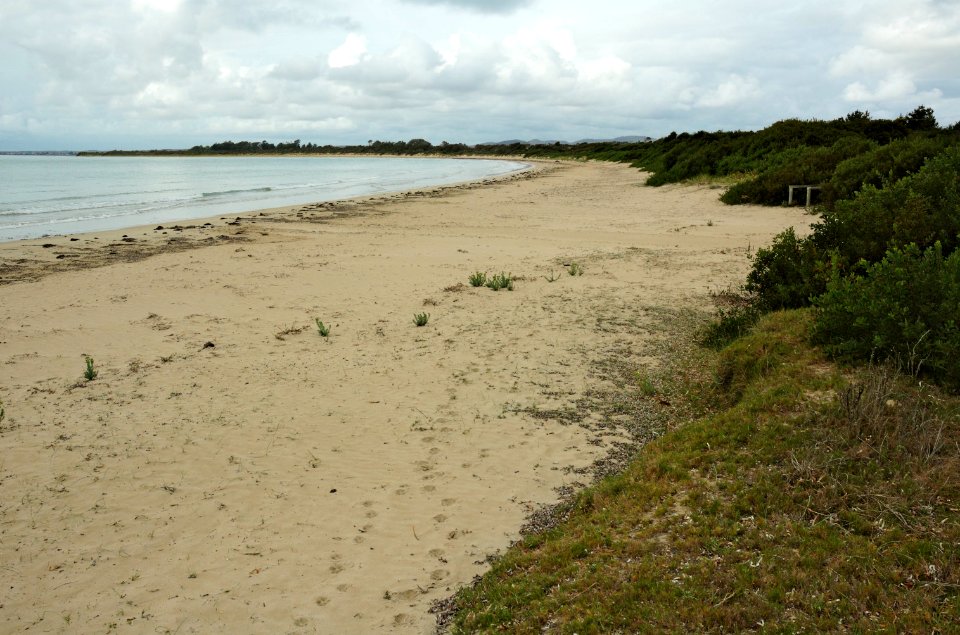 Greens-Beach-beach-20070419-019