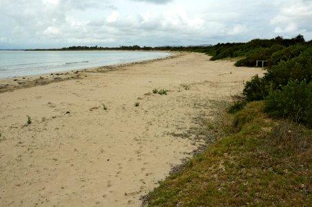 Greens-Beach-beach-20070419-019