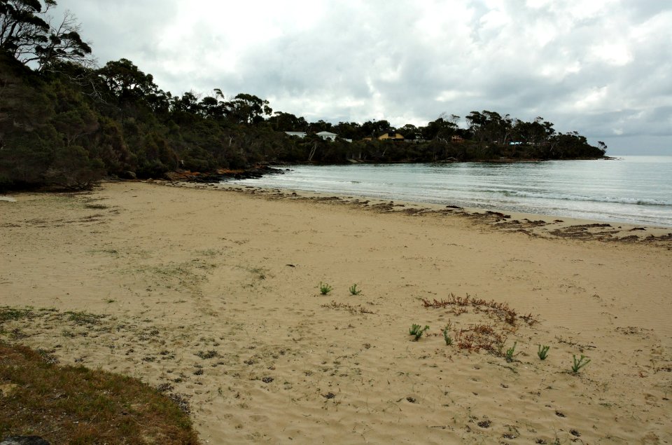 Greens-Beach-beach-20070419-020
