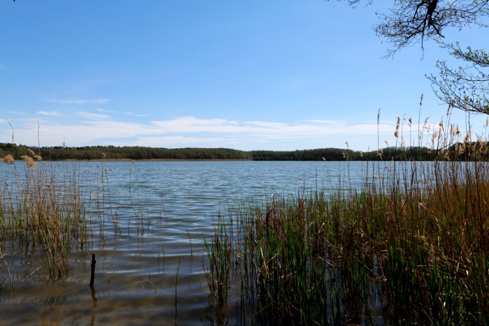 Großer Möggelinsee 2021-05-09 06