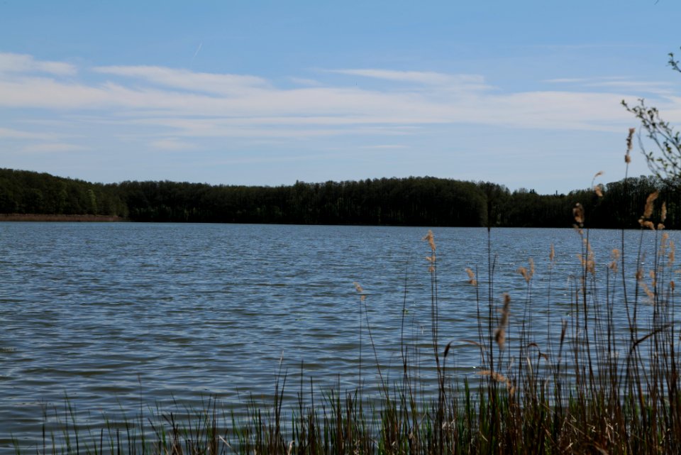 Großer Möggelinsee 2021-05-09 03