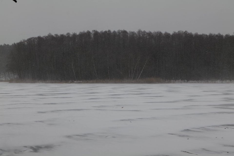 Großer Lienewitzsee with snow 2021-02-07 15