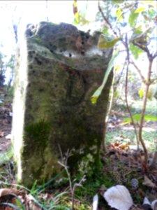 Grenzstein auf den Reinsbergen bei Plaue 1a