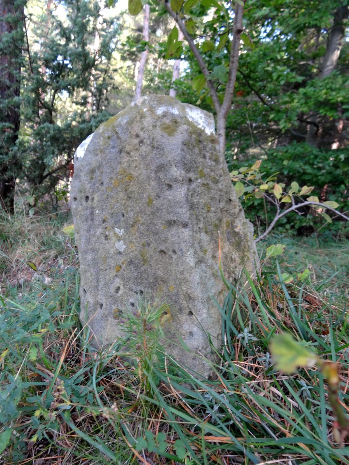 Grenzstein auf den Reinsbergen bei Plaue 1e