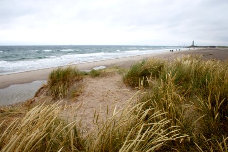 Grenen 2015-07-28-29