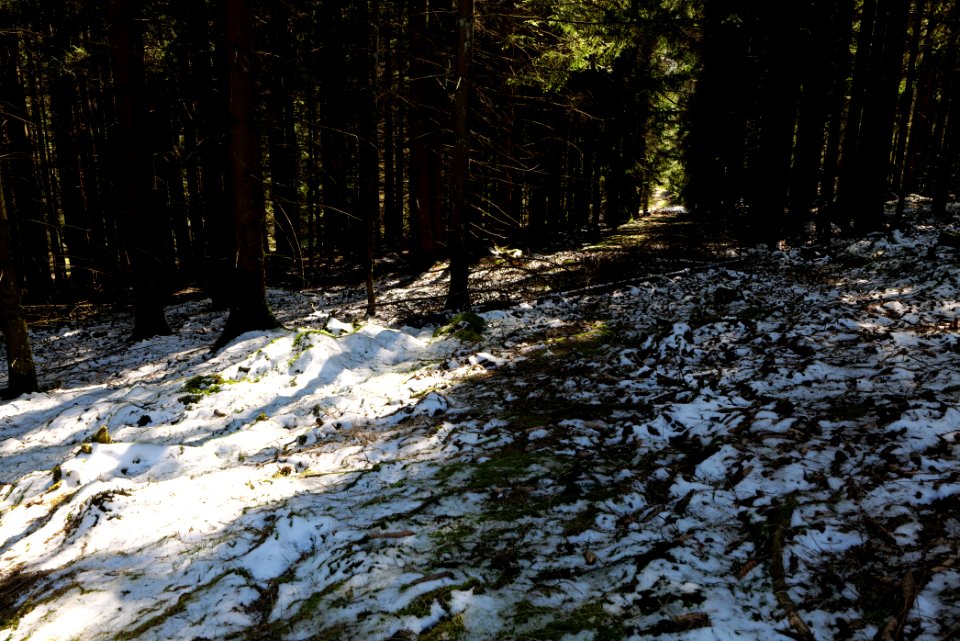Großer Feldberg 2020-03-23 26